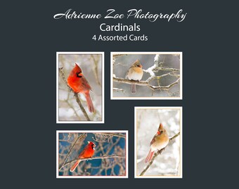 Cardinal Card Set, 4 assorted blank cards, holiday card pack, Winter Greeting Card Pack, Valentine's Day gift, Sympathy card gift, Canada