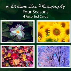 Ensemble de cartes Four Seasons, 4 cartes photo nature vierges assorties, carte de vœux colorée et joyeuse, petit cadeau, carte botanique, fête des mères, Canada