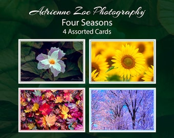 Four Seasons Card Set, 4 assorted blank nature photo cards, Cheerful colorful Greeting Card, small gift, Botanical card, Mother's Day,Canada