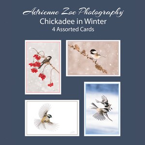 Jeu de cartes Mésange en hiver, 4 cartes photo vierges assorties de mésange, oiseau d'hiver, oiseau en vol, petit cadeau, Canada, cadeau de Noël