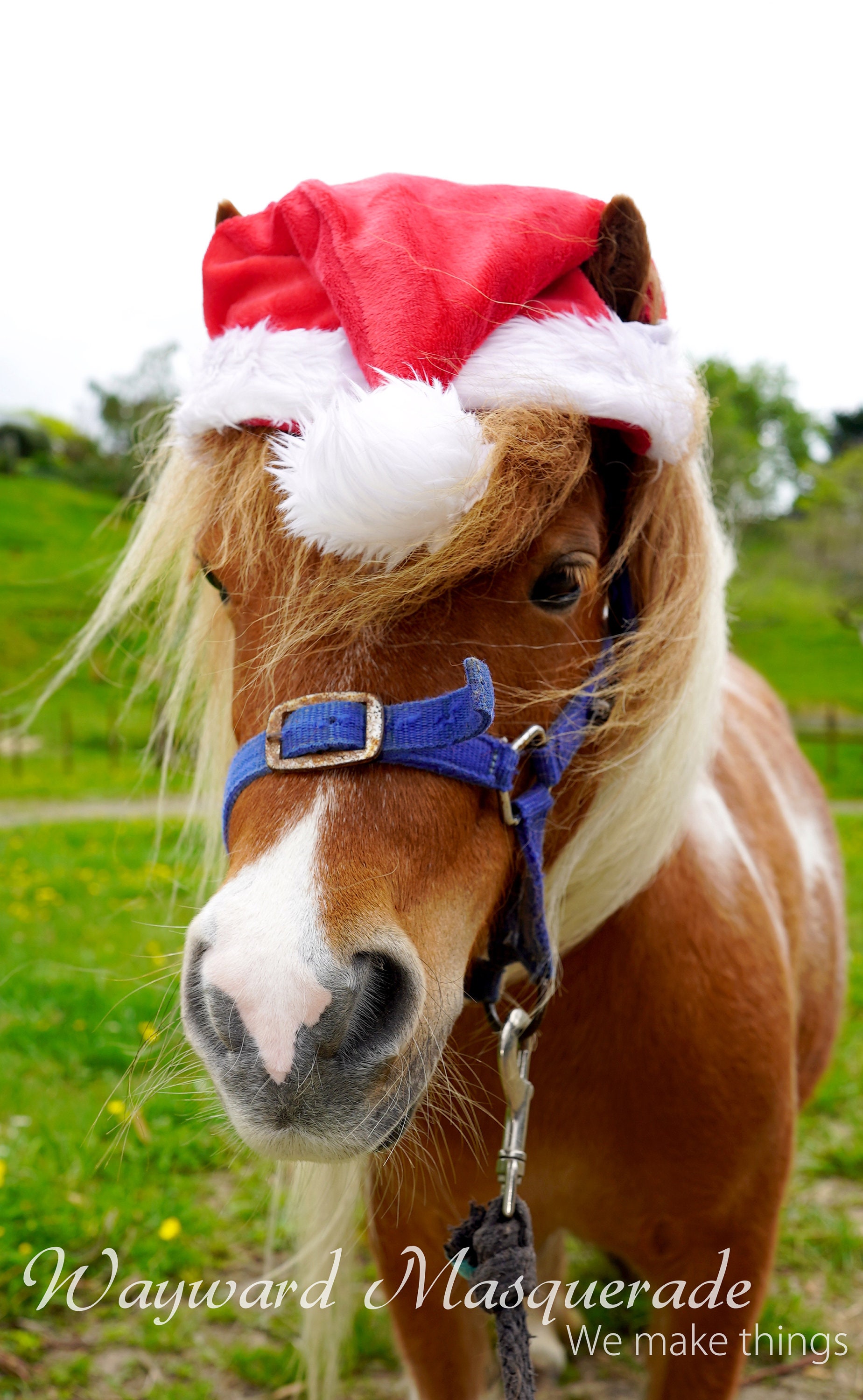 Horse and Pony Santa Hats -  India