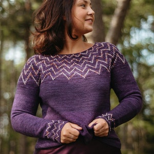 May include: A purple knitted sweater with a geometric pattern in shades of brown and white. The sweater has long sleeves and a crew neckline.