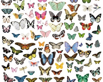 Vintage Butterfly Stickers, Retro Butterfly Vellum Stickers, Junk Journal, Scrapbooking, Card Making, Stickers, 20 Pcs