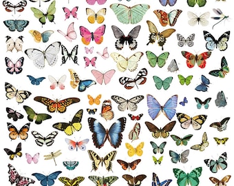 Vintage Butterfly Stickers, Retro Butterfly Vellum Stickers, Junk Journal, Scrapbooking, Card Making, Stickers, 20 Pcs