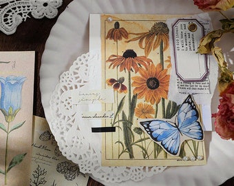 May include: A vintage botanical illustration featuring a blue butterfly, yellow flowers, and green leaves. The illustration is printed on a cream-colored paper and is surrounded by white lace doilies. The text "irinom oleander L" is printed on a white label.