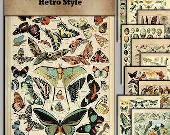 Retro Naturgeschichte Botanische Schmetterling Insekt Vogel Buch Seite Junk Journal Ephemera Junk Journals Collage Sammelalben Kartenherstellung 10stk