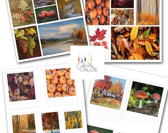 Autumn Fall Junk Journal Ephemera Kit (Digital Download)