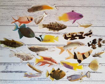 May include: A collection of colorful fish cutouts, featuring various species with different patterns and colors, including orange, yellow, blue, black, white, and purple. The fish are arranged on a white wooden background.