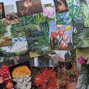 Vintage Flowers Flora Gardens Collage Paper Ephemera Pack Scrapbooking Junk Journals Cardmaking Papercraft 25pcs