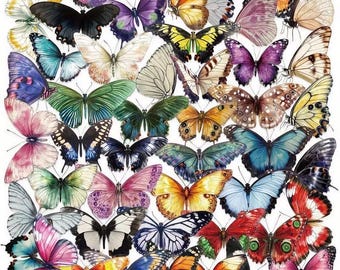 Butterfly Vellum PET Stickers Junk Journals Scrapbooking Card Making Stickers 50 Pcs