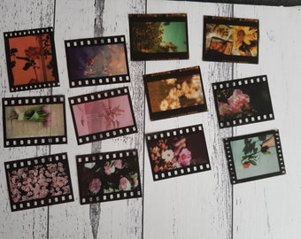 May include: A collection of 10 vintage-style film strips with images of flowers. The film strips are printed on white cardstock and have a black border.