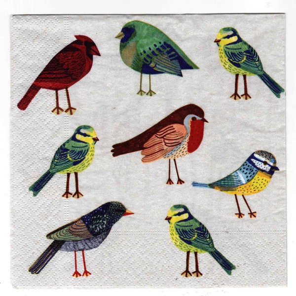 2 pcs Paper Napkins for Decoupage Serviettes 33 x 33cm Bird Napkins Junk Journals, Crafts Scrapbooking Paper Napkin Bird Napkins Collage