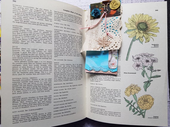 Whimsical Frame Junk Journal Half Papers, Journal Scrapbook
