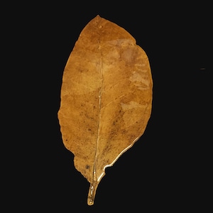 faux tobacco leaves Artificial Tobacco Leaves