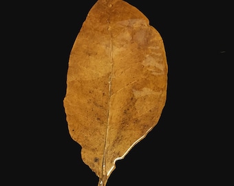 Tobacco Leaf Decor (burley)