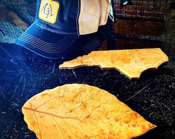 Tobacco Leaf OR North Carolina Shape - Flue Cured