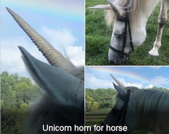 Cuerno de unicornio, cuernos, unicornio, cuerno de unicornio para caballos, cuernos para caballos, cuernos para bridas, caballos como unicornios