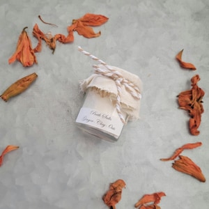 Organic Bath Salt, Oat, Ginger, All-Natural Bath Salt, Botanical Bath Salt, Artisan Bath Salt, Handmade Bath Salt, Therapeutic Sea Salts