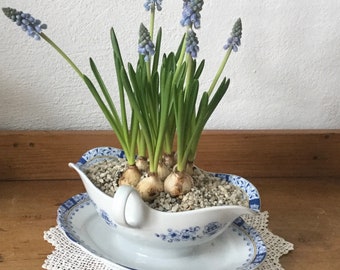 Blue & White Sauciere Vintage Bavarian Porcelain Bulb Planter Flower Vase