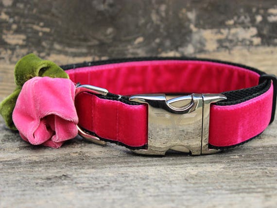 red velvet dog collar