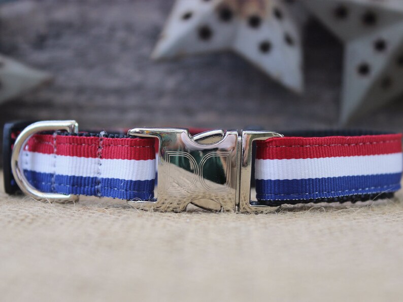 Patriotic Pooch Dog Collars and Leashes Etsy