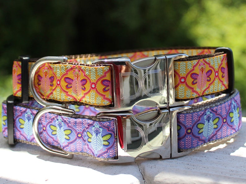 Queen Bee Blueberry Pie Dog Collars and Leashes Etsy