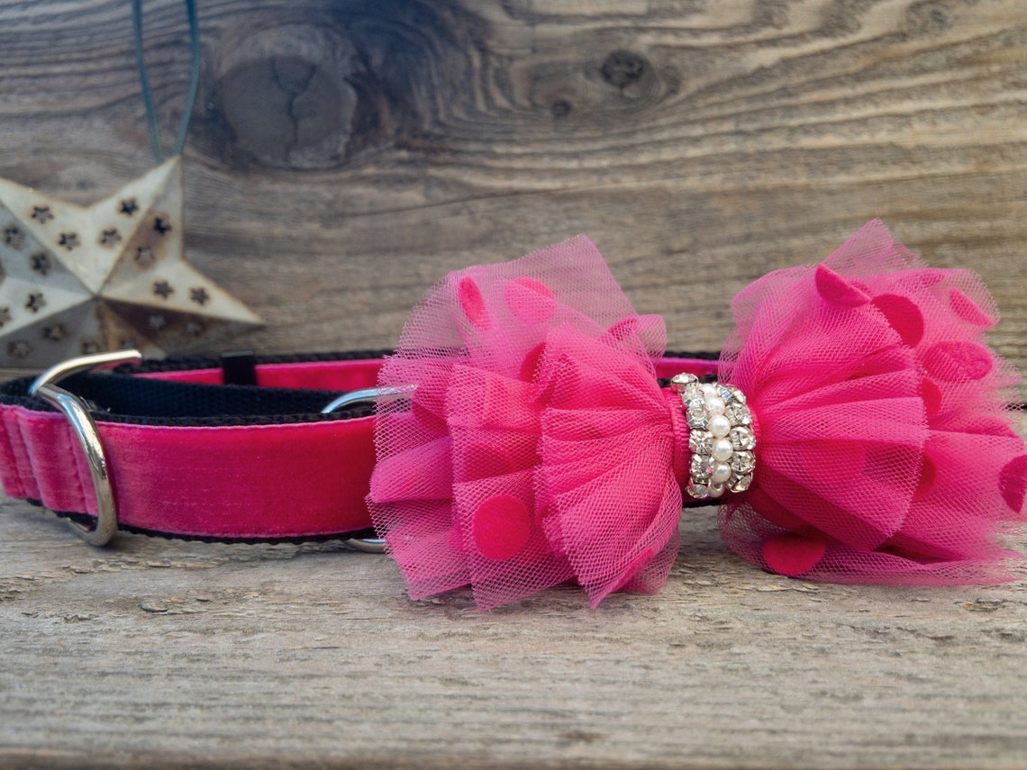 bardot collar