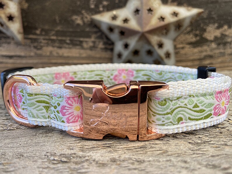 Maui Dog Collars and Leashes Etsy
