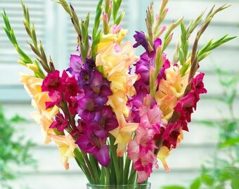 Mardi Gras Bouquet Etsy