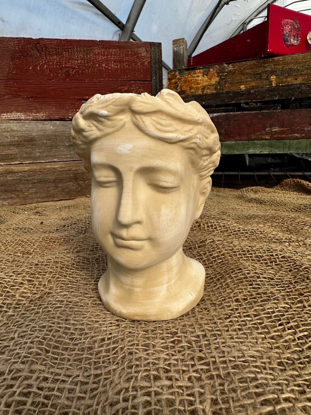 Greek Goddess Head Planter Head Statue Planter Elegant Head Etsy