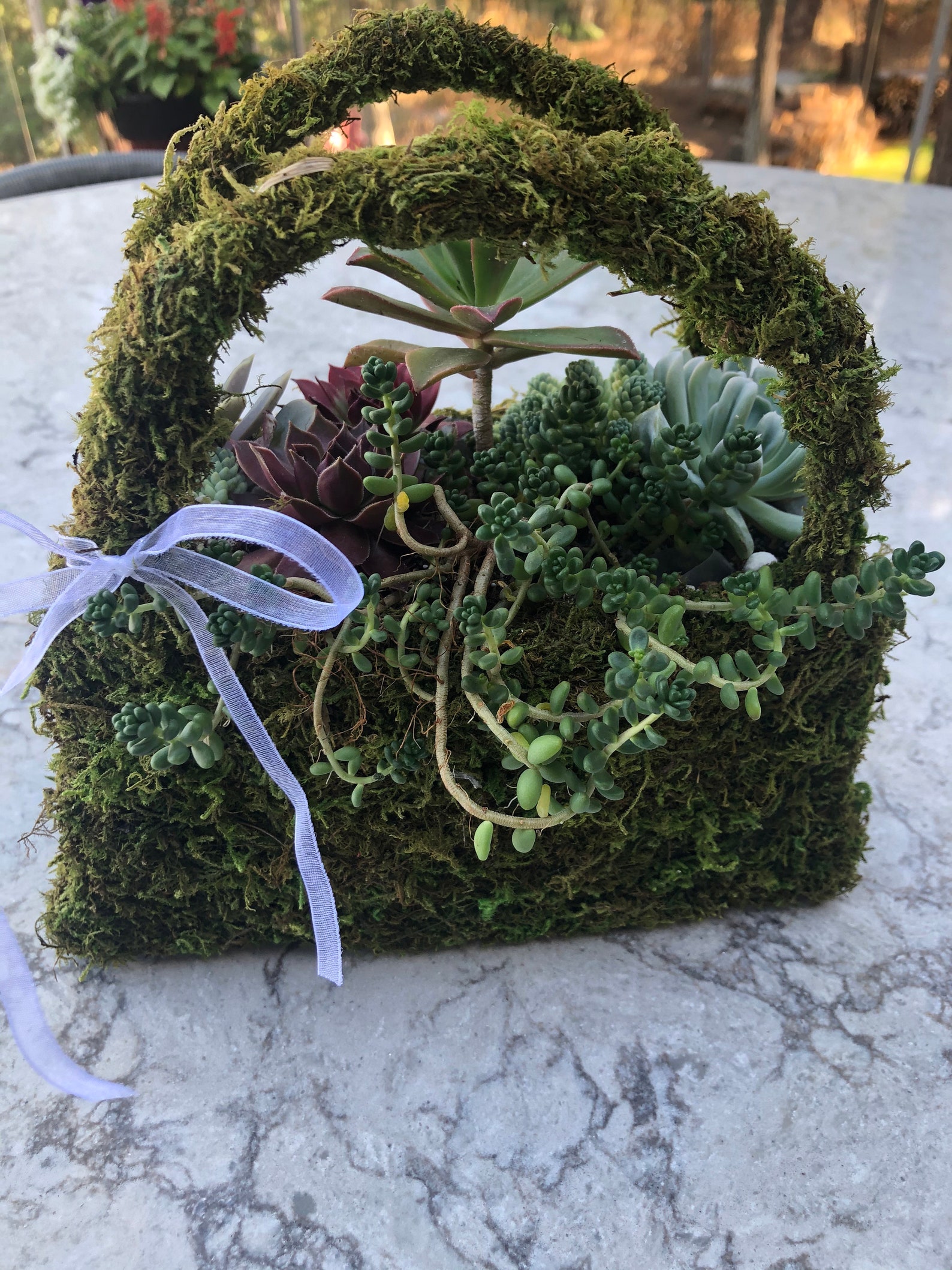 Beautiful Succulent Moss Purse Shaped Gift Basket Assorted Etsy