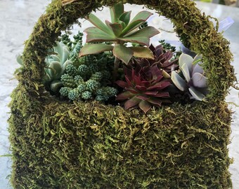 Succulent Purse Etsy