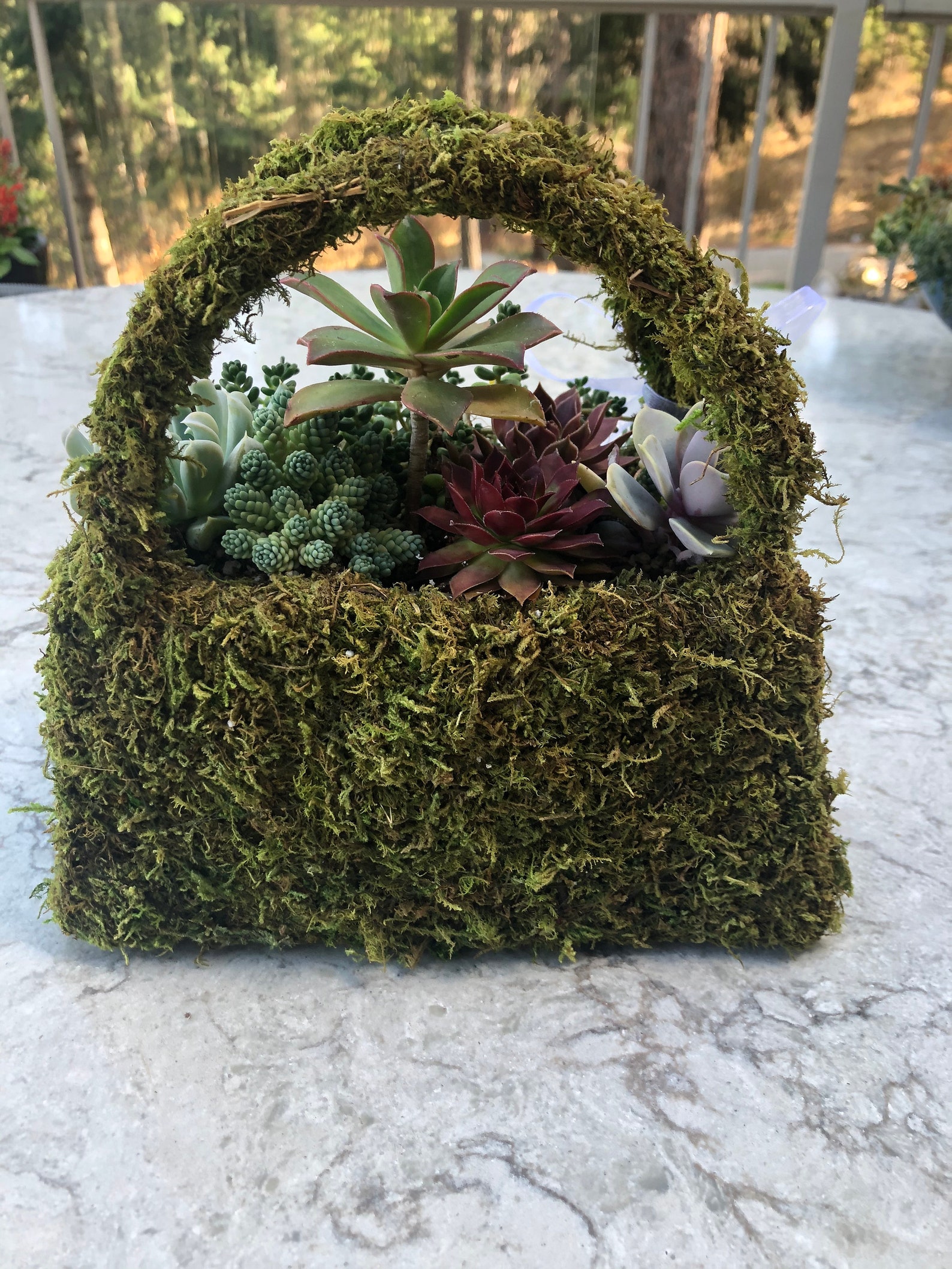Beautiful Succulent Moss Purse Shaped Gift Basket Assorted Etsy