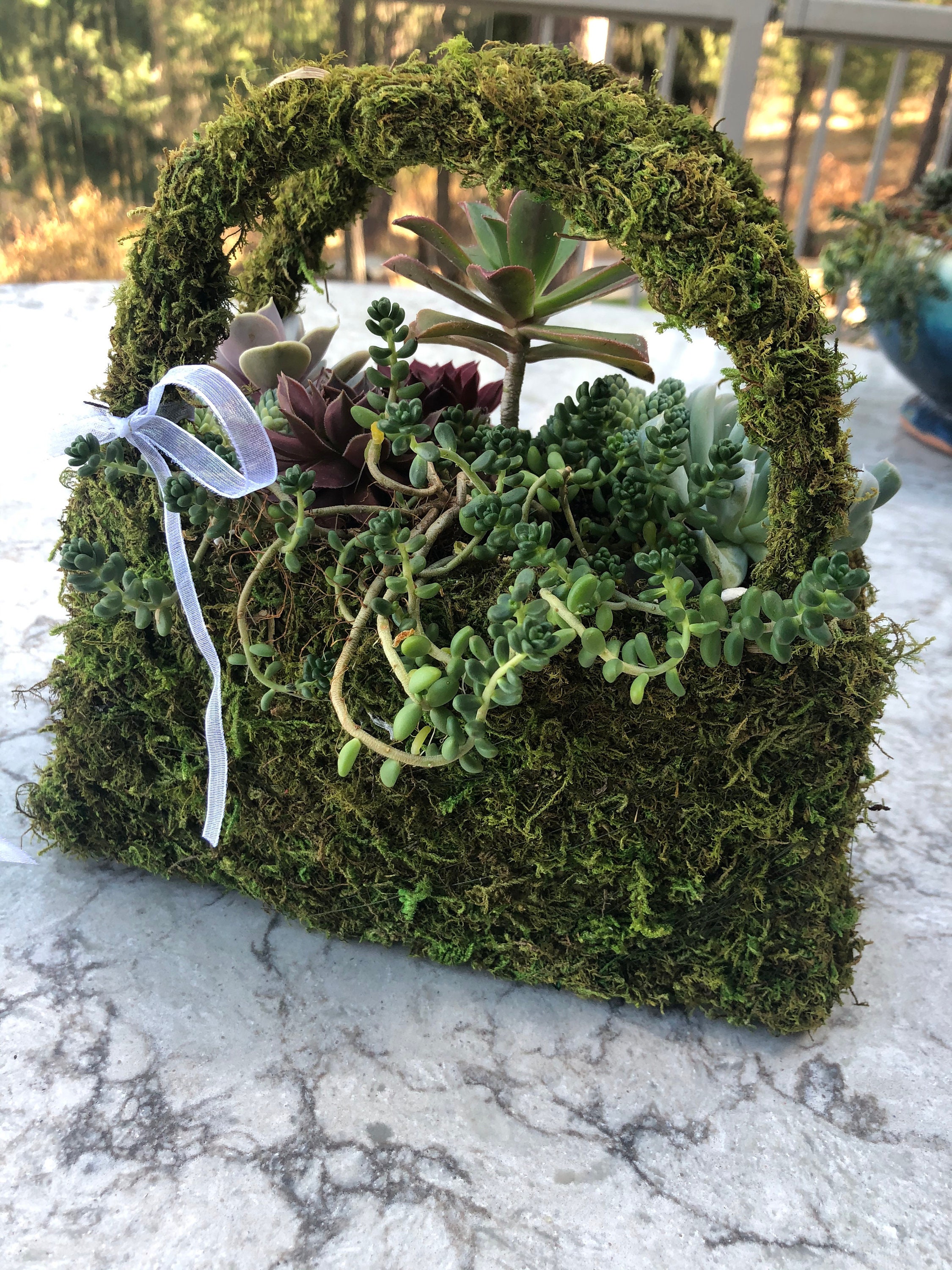 Beautiful Succulent Moss Purse Shaped Gift Basket Assorted Etsy
