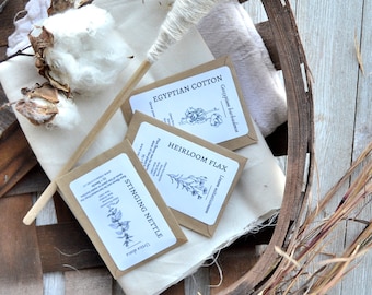 Natural Plant Fibers Seed Pack- Set of 3 Natural Fiber Plant Seeds, Cotton Seeds, Flax Seeds, Nettle Seeds, Grow Your Own Raw Natural Fiber