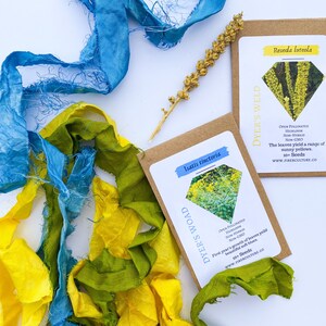 May include: An overhead shot features colorful textiles in blue, yellow, and green, alongside seed packets. The packets display botanical illustrations and text, including "Dyer's Woad" and "Dyer's Weld". The image is set against a white background.