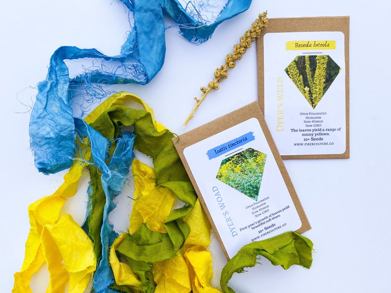 May include: An overhead shot features colorful textiles in blue, yellow, and green, alongside seed packets. The packets display botanical illustrations and text, including "Dyer's Woad" and "Dyer's Weld". The image is set against a white background.