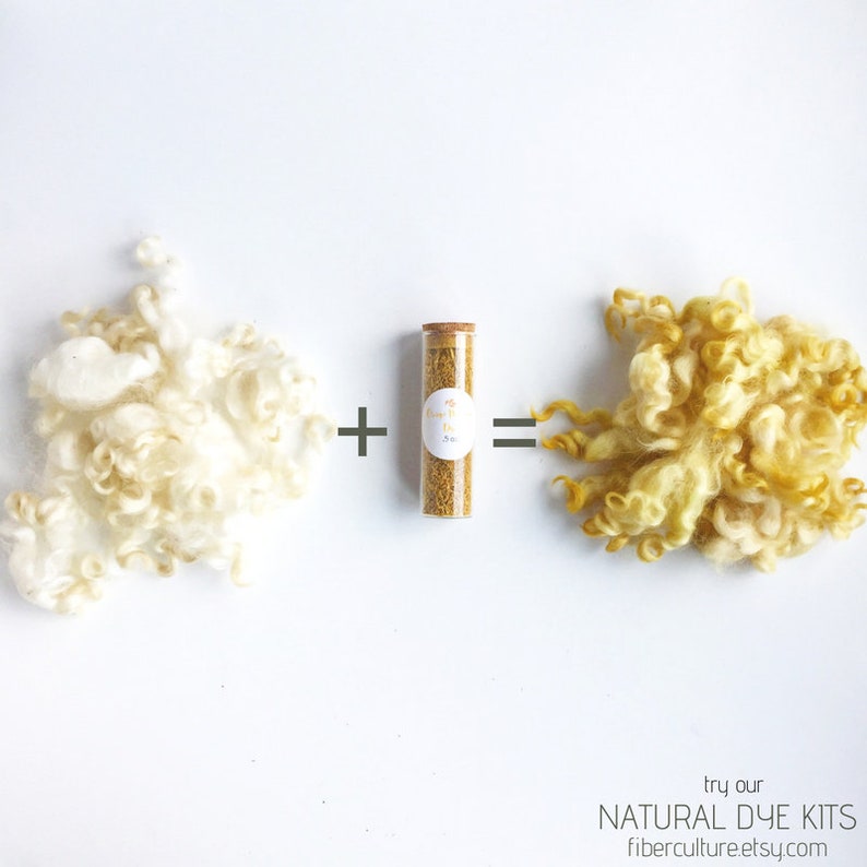 Natural Dye Kit Botanical Dye Kit Eco Dye Kit Beginner Etsy