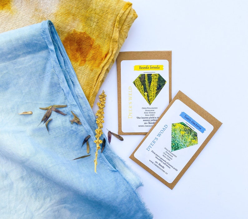 May include: An overhead shot features two fabric swatches, one blue and one yellow, with seed packets and dried plant elements. The seed packets, labeled "DYER'S WELD" and "DYER'S WOAD", display botanical illustrations and text. The fabrics are textured and appear to be dyed.
