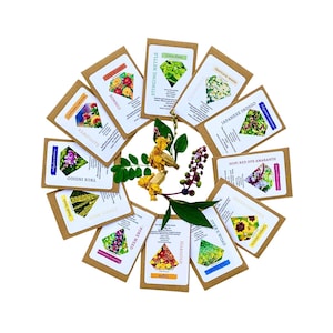 Komplettes Natural Dye Garden Seed Pack, Jumbo Pack 12 Arten Natural Dye Pflanzensamen, Botanische Dye-Samen, Wachsen Sie Ihren eigenen natürlichen Dye-Garten