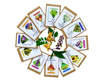 Paquete completo de semillas para jardín de tintes naturales, paquete gigante de 12 tipos de semillas de plantas de tintes naturales, semillas de tintes botánicos, cultiva tu propio jardín de tintes naturales.