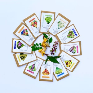 Natürliche Farbstoff-Samen, Natürliche Farbstoff-Pflanzen, Jumbo-Pack 12 Arten, Botanische Farbstoffe, Wachsen Sie Ihren natürlichen Farbstoff Garten, Strickgeschenk