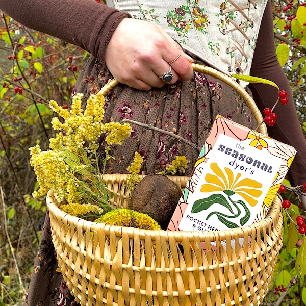 Il mazzo guida del tintore stagionale, risorsa colorante botanico, carte coloranti naturali, mazzo stile tarocchi, regalo per maglieria