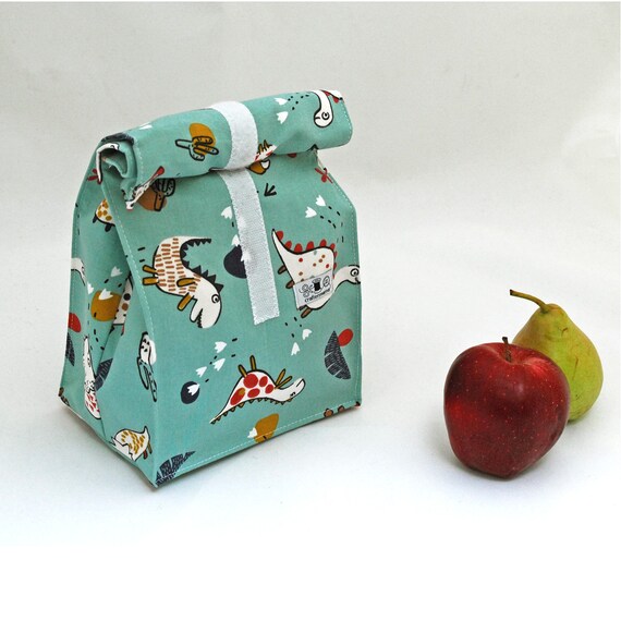 eco friendly lunch bags for adults