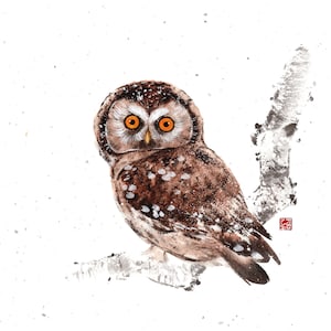 Das Unsichtbare – Kollektion „WILD – Begegnung mit der Wildnis“.