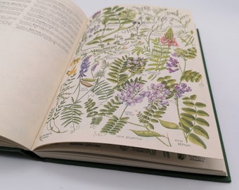 The Concise British Flora in Colour by W Keble Martin, 1971 vintage 2nd edition hardback book with DJ. Ebury Press