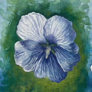 Small White Flower Painting - Original Fine Art