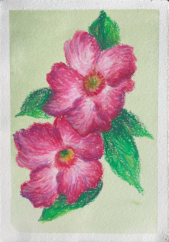 Original Oil Pastel Drawing of a Pink Flower Artist Rachel Van Wylen Etsy