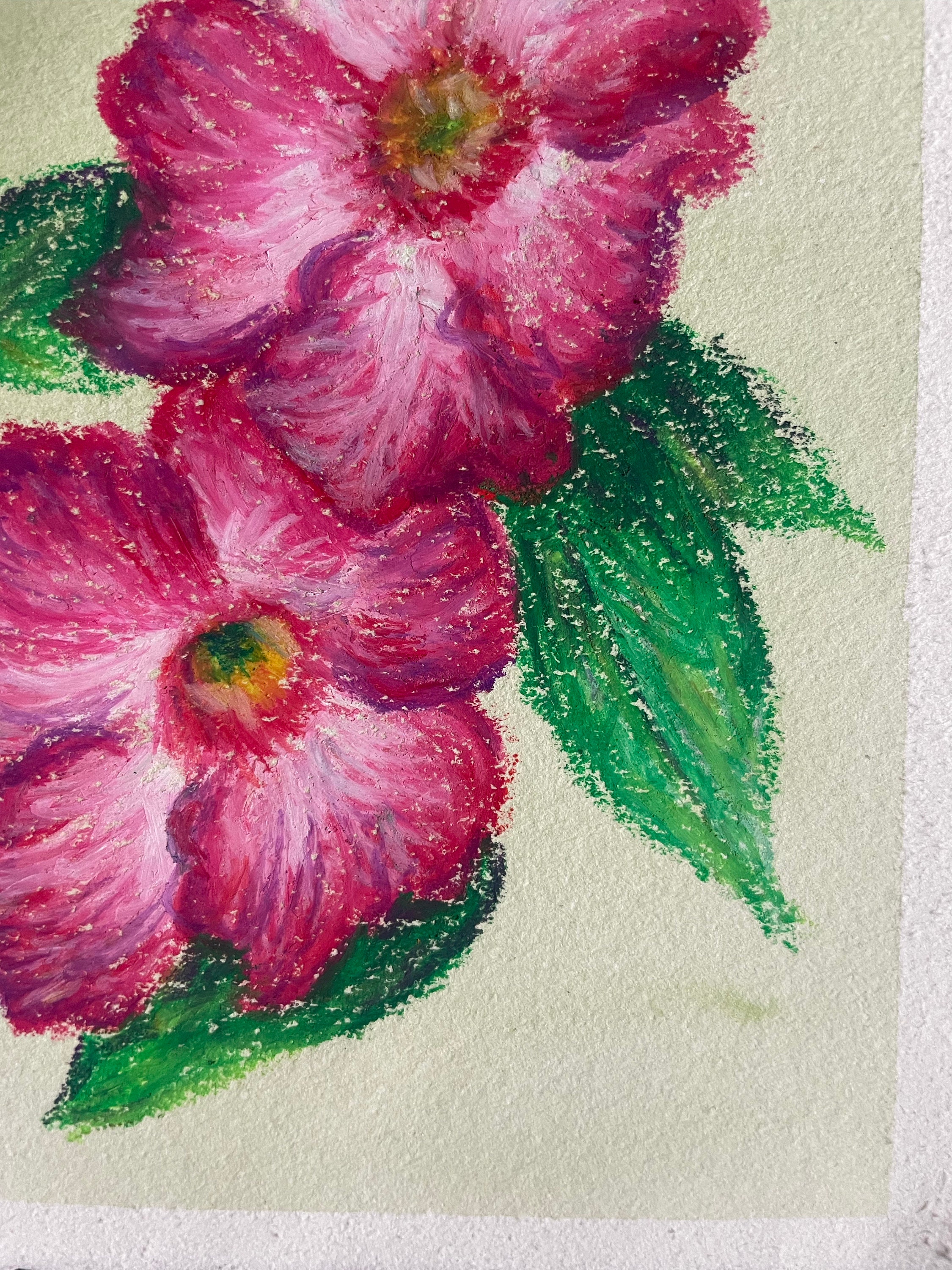 Original Oil Pastel Drawing of a Pink Flower - Artist Rachel Van Wylen -  Etsy, image size:2250x3000
