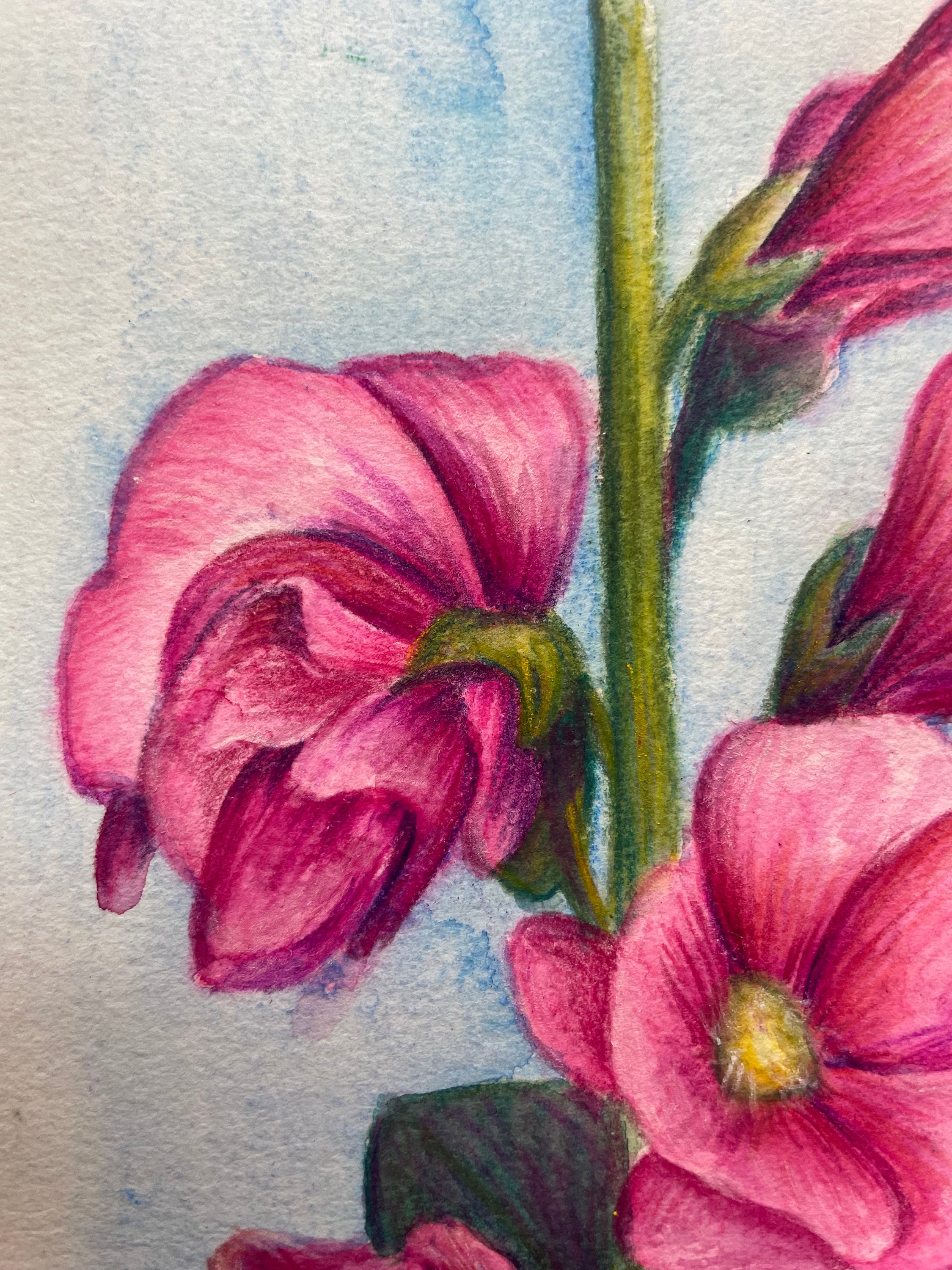 みみ　水彩画　オガワコマドリと百合の花　値段は600円です みみ 水彩画 オガワコマドリと百合の花 値段は600円です 楽天市場】ゆり（